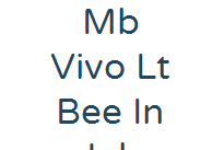 MB Vivo LT Bee in job