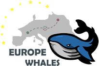 MB EUROPE WHALES